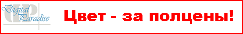 ������ C9650