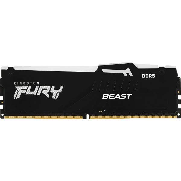Память оперативная Kingston FURY Beast KF560C36BBEA-32