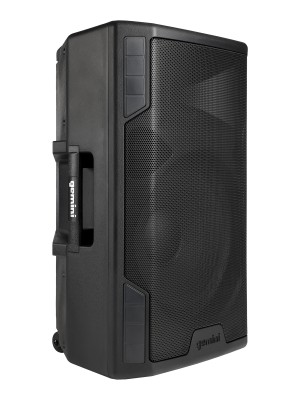 Акустическая система Gemini [GSP-5500] Активная, 2-х полосная, RMS/Peak 550/2200 Вт, АЧХ 40-20000 Гц, SPL 126 дБ, 15" ВЧ, 1,35" ВЧ, вх.: (2) XLR Mic, (2) 1/4" TRS Mic, 1/8 TRS AUX, RCA (L/R) AUX, XLR, вых.: XLR Mix, USB, SD, FM, Bluetooth