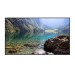 Витринный информационный дисплей Hisense 55" 55WH80F 4000 nit, 4K, D-LED, 24/7, RAM 2GB, ROM 16GB, Android 11, Landscape