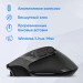 Мышь Oklick 502MW черный оптическая 2400dpi silent беспров. BT/Radio USB для ноутбука 9but (1978678) Oklick 1978678