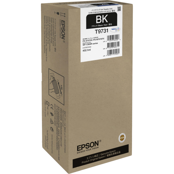 Картридж Epson C13T97310N