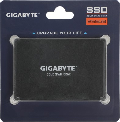 Твердотельный накопитель SSD Gigabyte GP-GSTFS31256GTND