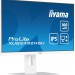 Монитор IIYAMA XUB2492HSU-W6