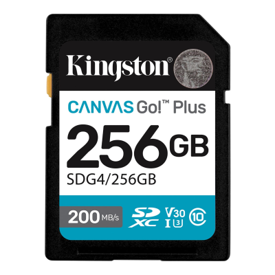 Карта памяти Kingston Canvas Go Plus SDG4/256GB