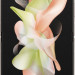 Смартфон Samsung SM-F721BZDFMEA