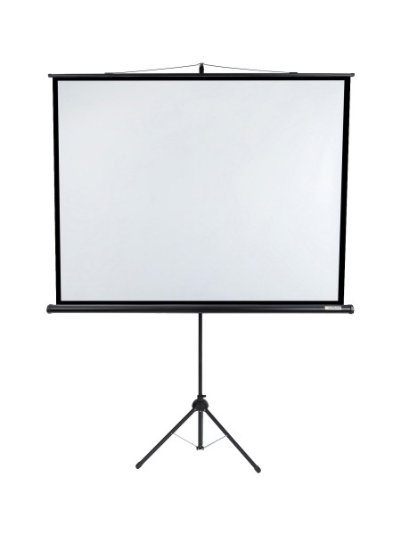 [LEV-100110] Экран на штативе Lumien [Eco View] 128x171см (раб.область122х165 см) (81") Matte White 4:3
