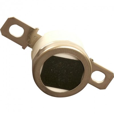 Термостат Ricoh AW110038