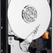 Жесткий диск WD AV-GP Video Surveillance (WD10EURX-83UY4Y0)