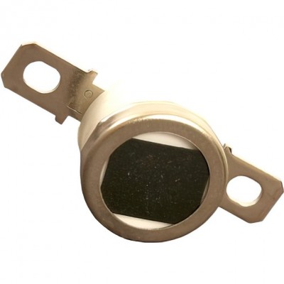 Термостат Ricoh AW110037