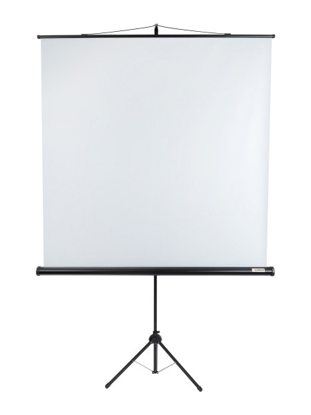 [LEV-100105] Экран на штативе Lumien [Eco View] 160x160 см (89") Matte White 1:1