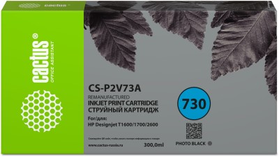 - Cactus CS-P2V73A