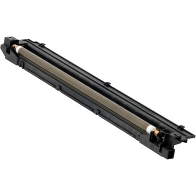 Блок заряда в сборе Ricoh D0812441