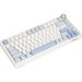 Игровая клавиатура AULA AU75 (6978080506443)