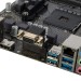 Материнская плата ASRock A520M-HVS