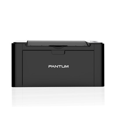 Принтер Pantum лазерный монохромный P2207 [P2207]