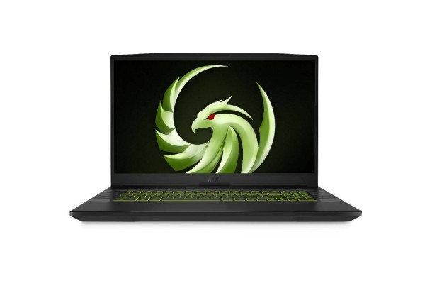 Ноутбук MSI Alpha 17 B5EEK-013RU 17,3" FHD 144Hz, AMD R5-5600H, 16Gb, 512Gb SSD, no ODD, AMD RX6600M 8Gb, Win10, черный