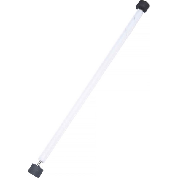 Вал-щётка для нанесения смазки в сборе Ricoh D1793641