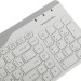 Клавиатура A4Tech FBK25 WHITE