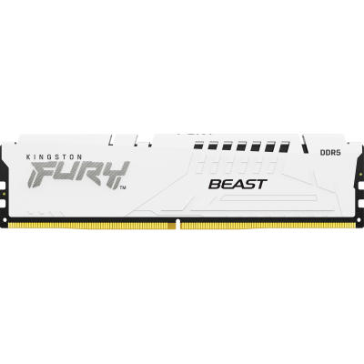 Память оперативная Kingston FURY Beast KF560C30BWE-32