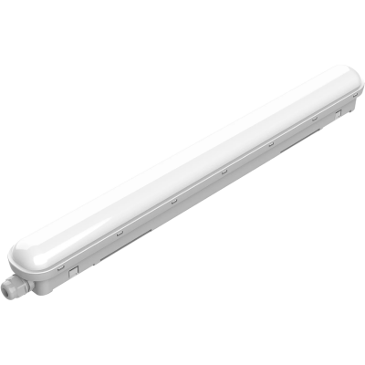 Пылевлагозащищенный светильник Philips WT018C 20S/840 PSU L600