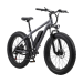 Электровелосипед Rude, ATB A3 series, model A3-A3Hxx, 26" wheels, FAT tires, Aluminum frame, 350W motor, 13A*h battery, disc brakes. Rude ATB A3-A3HGM