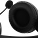 Наушники с микрофоном A4Tech G220S USB/ BLACK