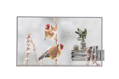 Профессиональный прозрачный OLED дисплей LG [55EW5P-M] 1920х1080,200000:1,600кд/м2,webOS 7.5