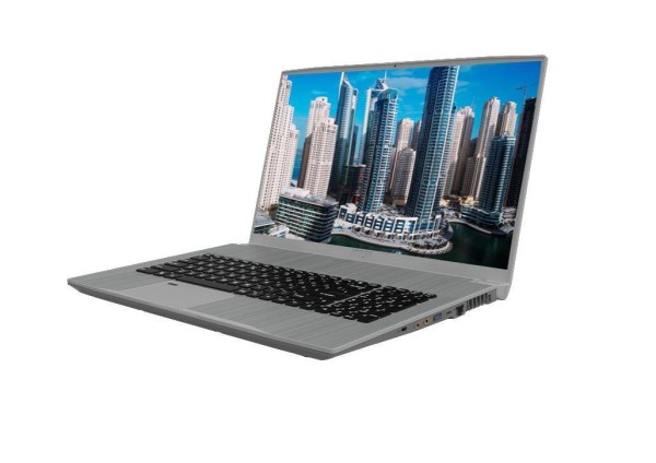 Ноутбук MSI WF75 10TI-073RU 17,3" FHD, Intel Core i7-10750H, 16Gb, 1Tb + 512Gb SSD, no ODD, NVidia Quadro T1000 4Gb, Win