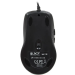Мышь A4Tech X-718BK черный оптич. 3000dpi USB 6but (X-718BK USB) A4Tech X-718BK USB