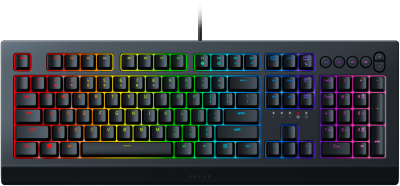 Игровая клавиатура Razer Cynosa V2 Razer Cynosa V2