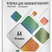 Пленка 216х303 (100 мик) 100 шт. Пленка для ламинирования A4, 216х303 (100 мкм) глянцевая 100шт, ГЕЛЕОС [LPA4-100]