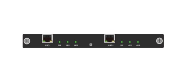 Карта входа 4K H.265 IP Digibird [DB-VWC2-HP-IC-4KIPH2] 2-канальная