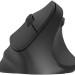 Мышь Oklick 688MW ERGO черный оптическая 2400dpi silent беспров. BT/Radio USB (2070320) Oklick 2070320