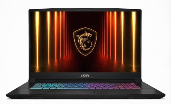 Ноутбук MSI Katana 17 HX B14WFK-276XRU 17,3" QHD IPS 240Hz, Intel Core i7-14650HX, 32Gb, 1Tb SSD, NVidia RTX5060 8Gb, DO