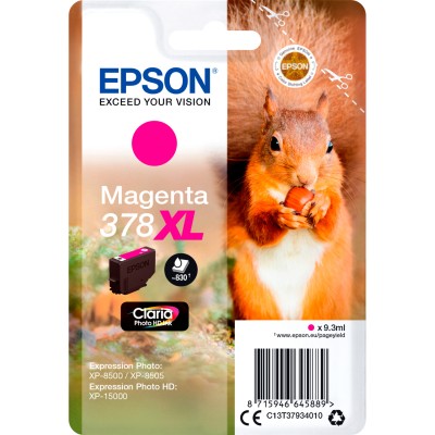 Картридж Epson C13T37934020