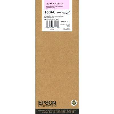 Картридж Epson C13T606C00