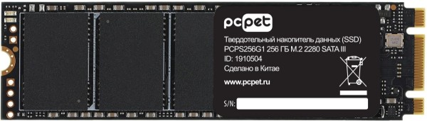 Накопитель SSD PC PET PCPS256G1