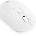 Мышь Oklick 509MW white белый оптическая 1600dpi беспров. USB для ноутбука 4but (1885186) Oklick 1885186