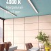 Лампа светодиодная Космос Lksm_LED10wG13T840GL