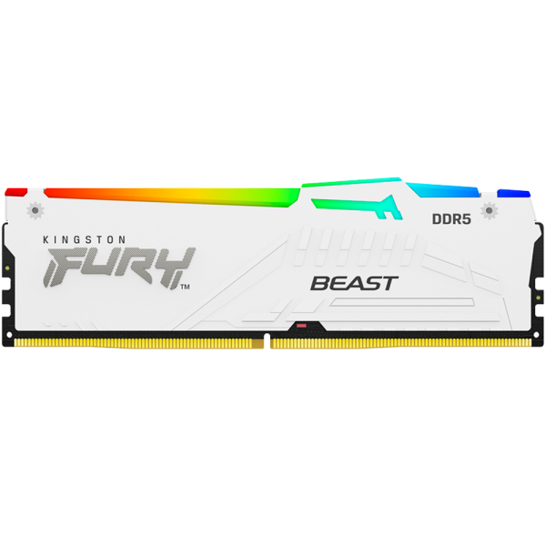 Память оперативная Kingston FURY Beast KF556C36BWEA-16